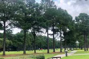 Quail Creek Golf Course in Fairhope Alabama