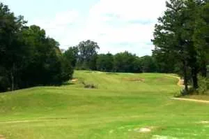 Ross Creek Landing No. 4