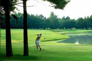 Ol Colony Golf Coursein Tuscaloosa