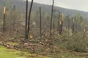 tornado damage at Shoal Creek