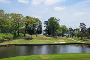 rounds played at Turtle Point