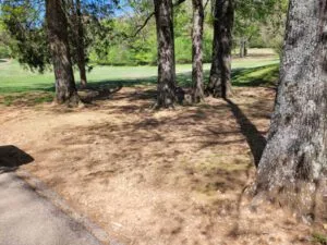 Joe Wheeler The General 2