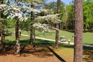 Joe Wheeler State Park The General GC