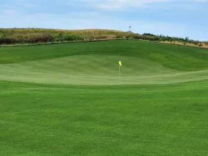 Landmand punchbowl green