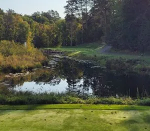 Pines No. 5 Grandview Resort