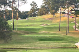 Hole in One Hole No. 12 at Terri Pines