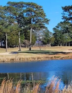 No. 13 at Goose Pondd Coloby's Lake Course