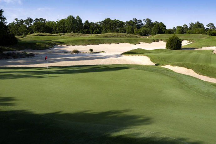 True Blue Golf Club No. 14