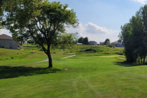 Bent Tree No. 12 in Nebraska